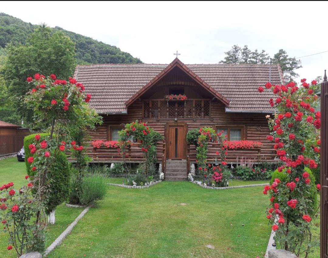 Casa Bunicii Hotel Costesti  ภายนอก รูปภาพ