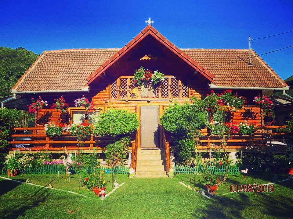 Casa Bunicii Hotel Costesti  ภายนอก รูปภาพ