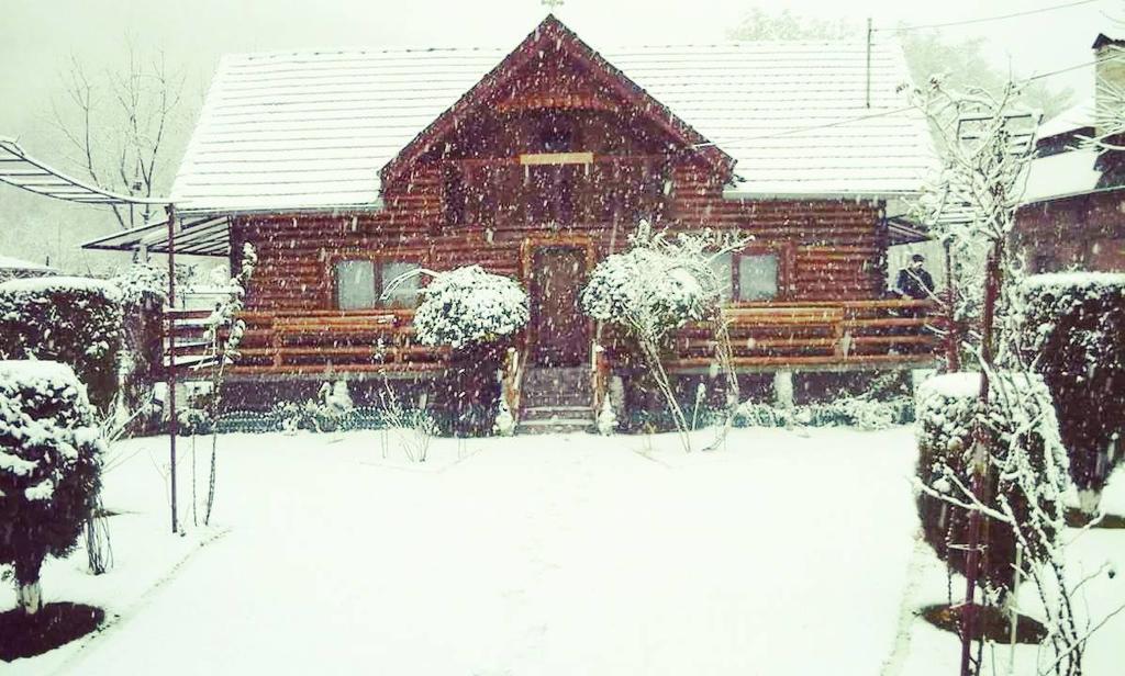 Casa Bunicii Hotel Costesti  ภายนอก รูปภาพ