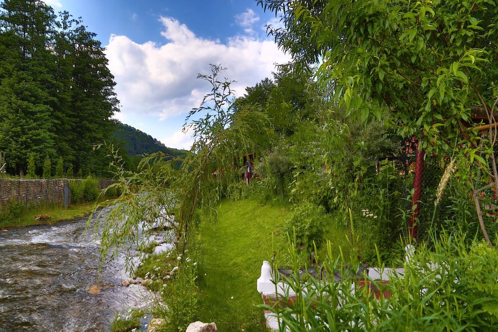 Casa Bunicii Hotel Costesti  ภายนอก รูปภาพ